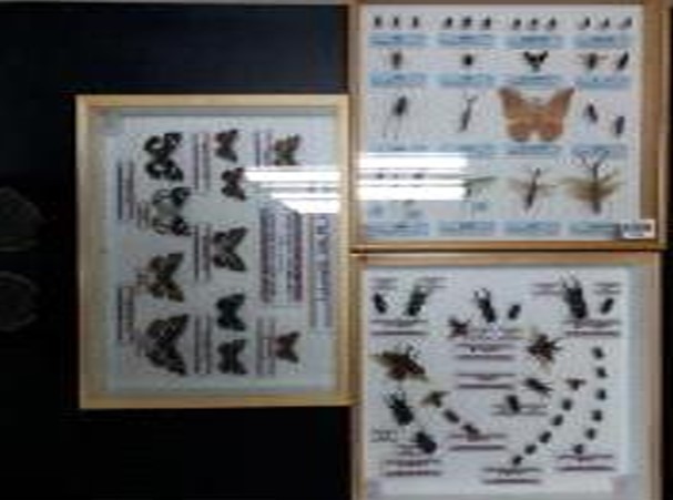 프로그램찾기 이미지