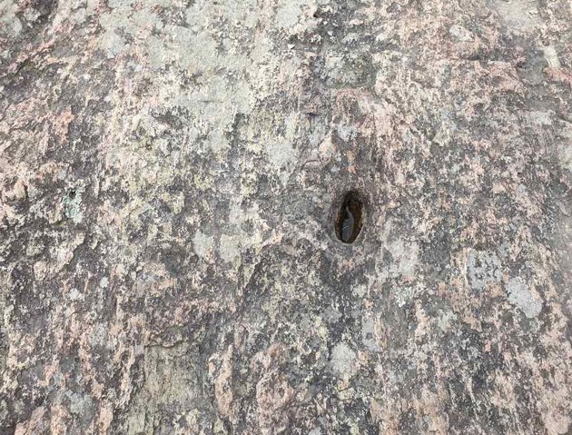 프로그램찾기 이미지