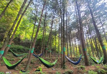 프로그램찾기 이미지