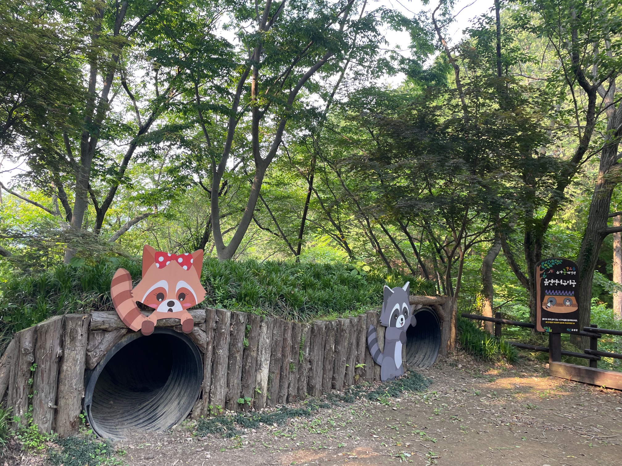 기관대표이미지