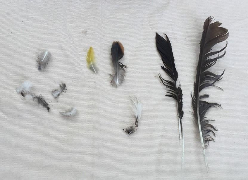 프로그램찾기 이미지