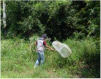 숲교육포털 메인화면 이미지