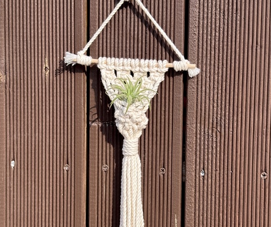 프로그램찾기 이미지