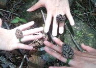 프로그램찾기 이미지