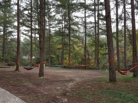 프로그램찾기 이미지