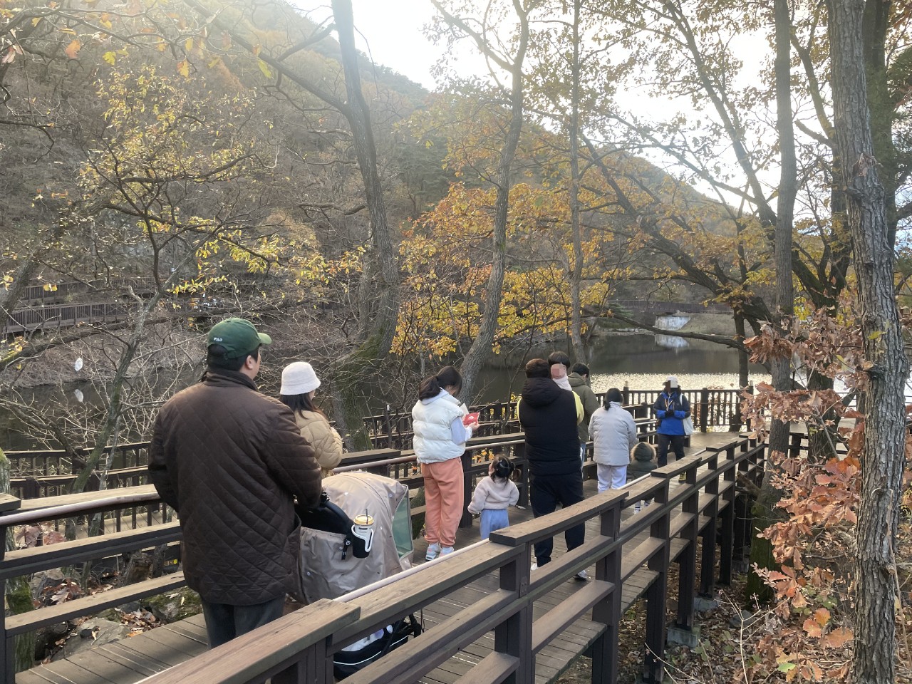 프로그램찾기 이미지