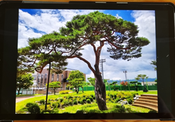 프로그램찾기 이미지