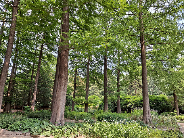 프로그램찾기 이미지