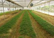 숲교육포털 메인화면 이미지