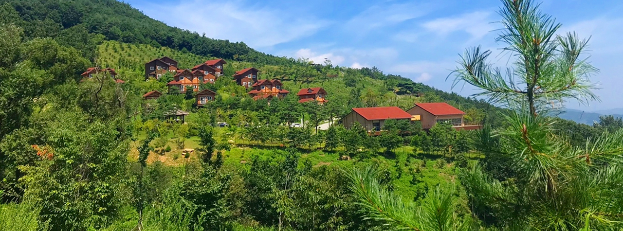 기관대표이미지