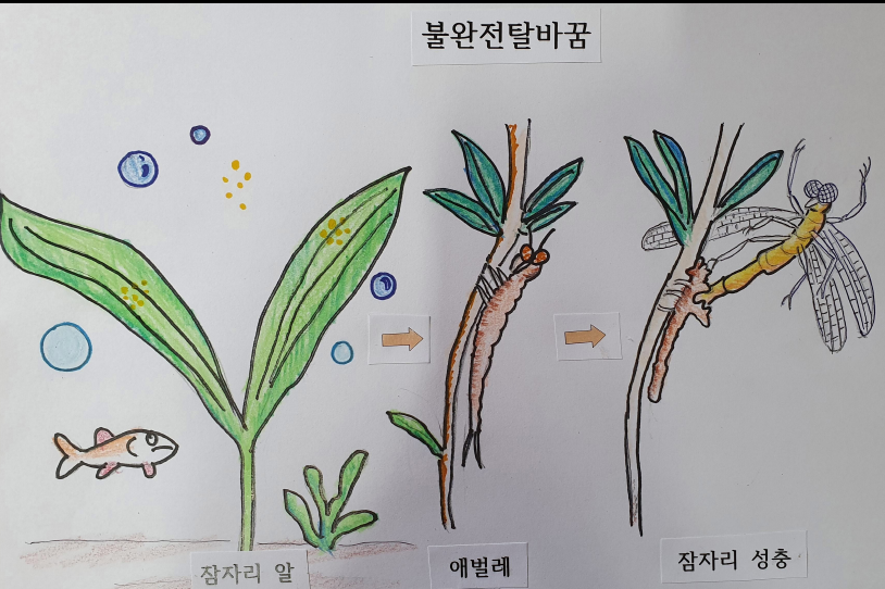 프로그램찾기 이미지