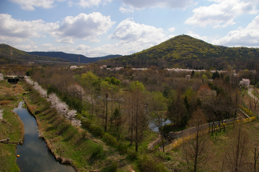 기관대표이미지