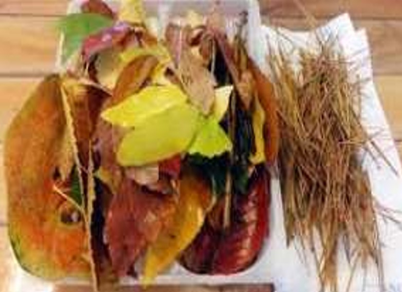 프로그램찾기 이미지