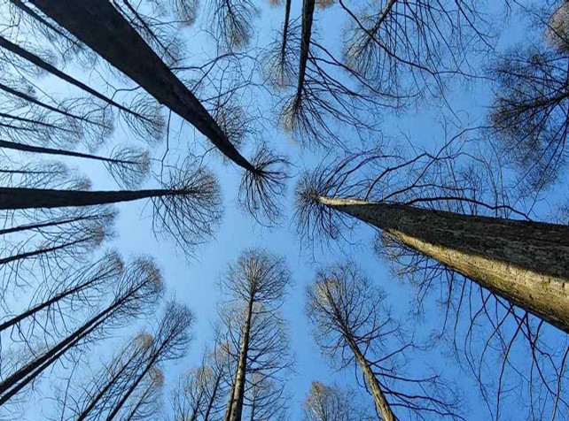 프로그램찾기 이미지