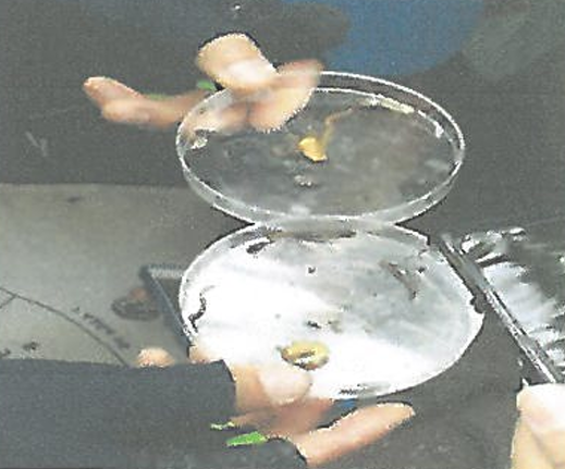 프로그램찾기 이미지