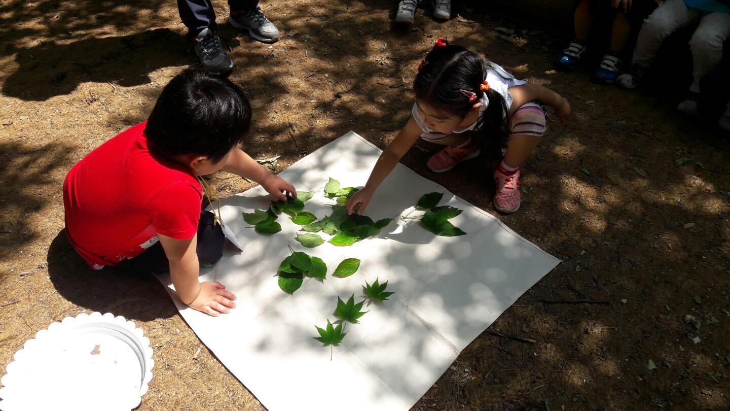 프로그램찾기 이미지