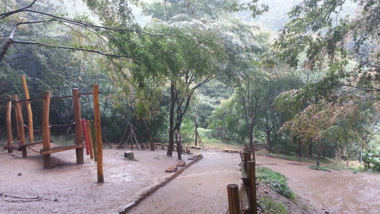 프로그램찾기 이미지