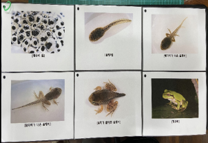 프로그램찾기 이미지