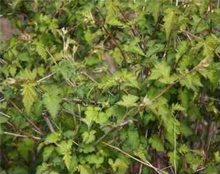 프로그램찾기 이미지