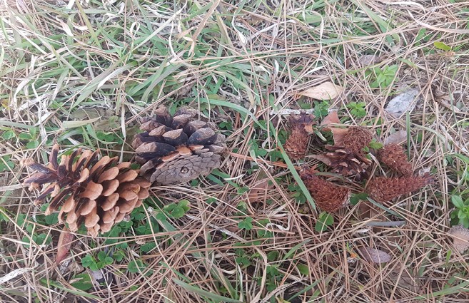 프로그램찾기 이미지