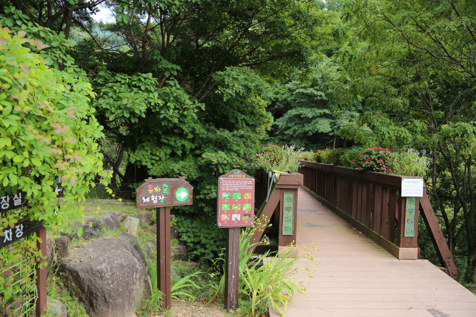 기관대표이미지