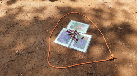 프로그램찾기 이미지