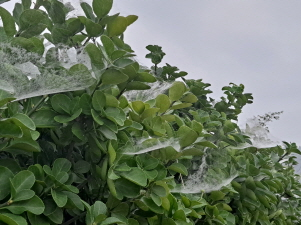 프로그램찾기 이미지