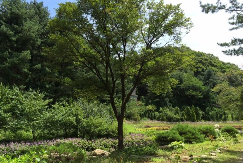 프로그램찾기 이미지