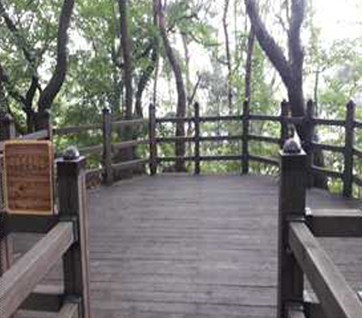 프로그램찾기 이미지