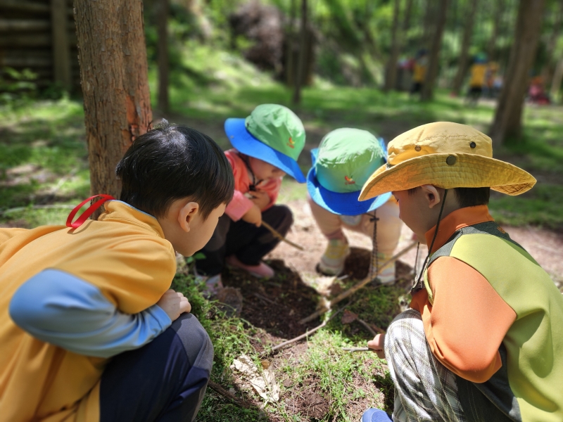 프로그램찾기 이미지