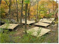 프로그램찾기 이미지