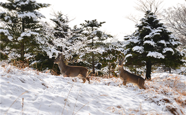 프로그램찾기 이미지
