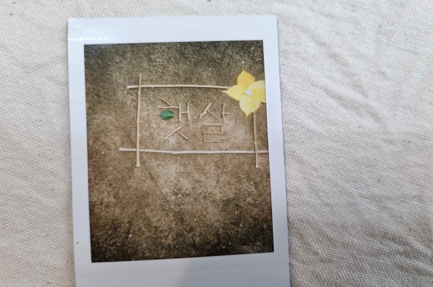 프로그램찾기 이미지