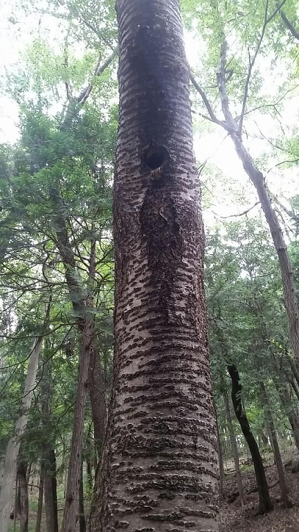 프로그램찾기 이미지