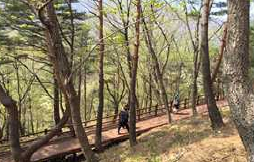 프로그램찾기 이미지