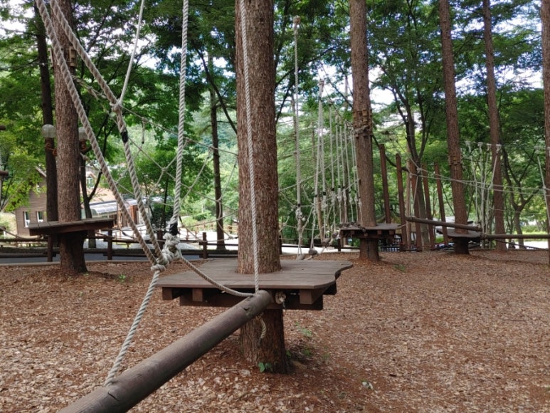 기관대표이미지