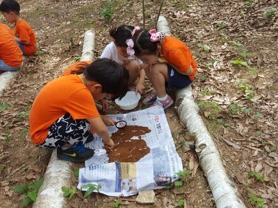 프로그램찾기 이미지