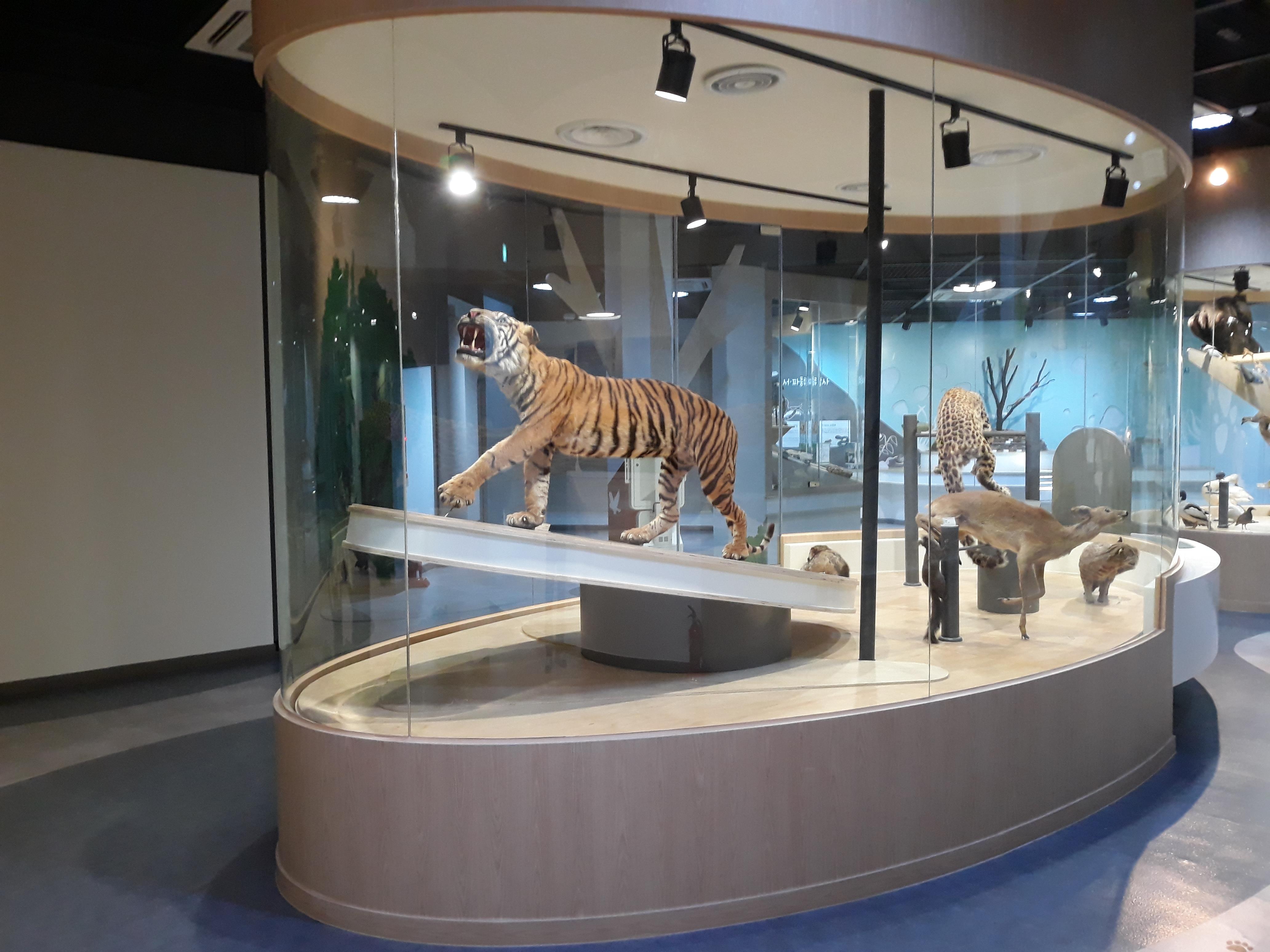 프로그램찾기 이미지