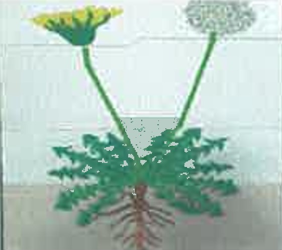 프로그램찾기 이미지