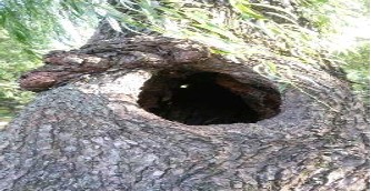 프로그램찾기 이미지