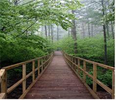 프로그램찾기 이미지