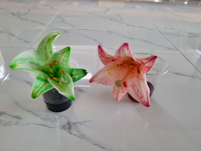 프로그램찾기 이미지