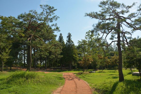 프로그램찾기 이미지