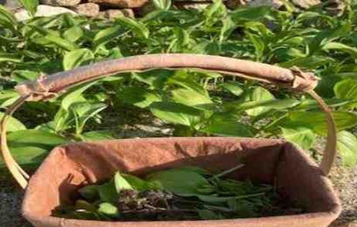 프로그램찾기 이미지