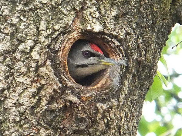 프로그램찾기 이미지