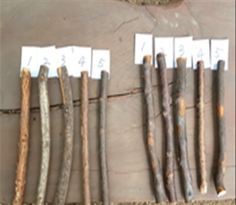 프로그램찾기 이미지