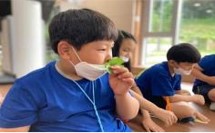 프로그램찾기 이미지