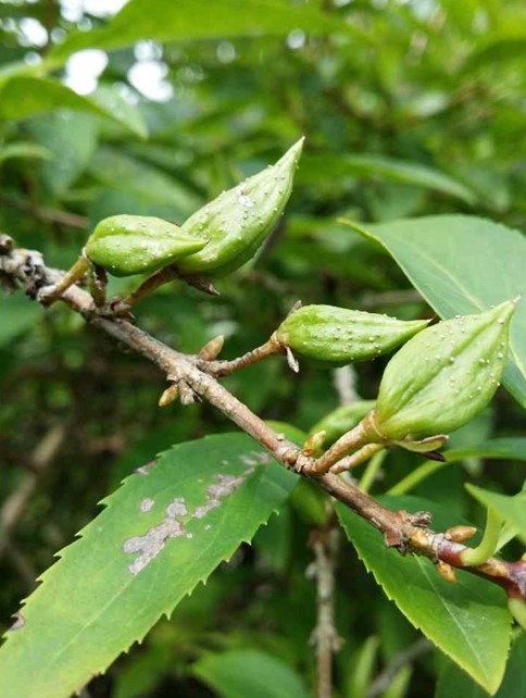 프로그램찾기 이미지