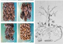 프로그램찾기 이미지
