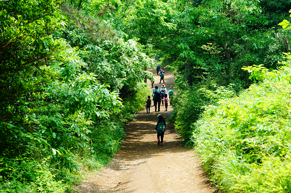 프로그램찾기 이미지